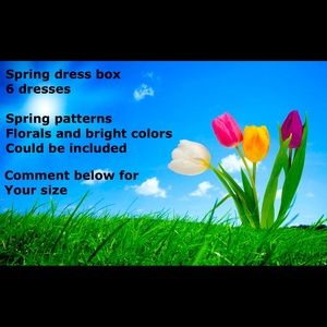 Spring dress box